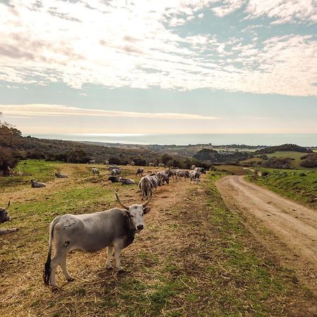 Agriturismo Morani Σάντα Σεβέρα Εξωτερικό φωτογραφία